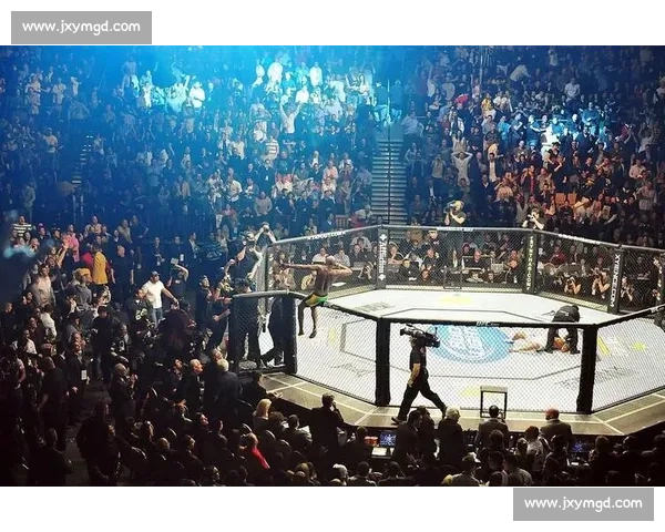 UFC狼人对决冰人巅峰之战全面解析与传奇回顾战术博弈与时代意义